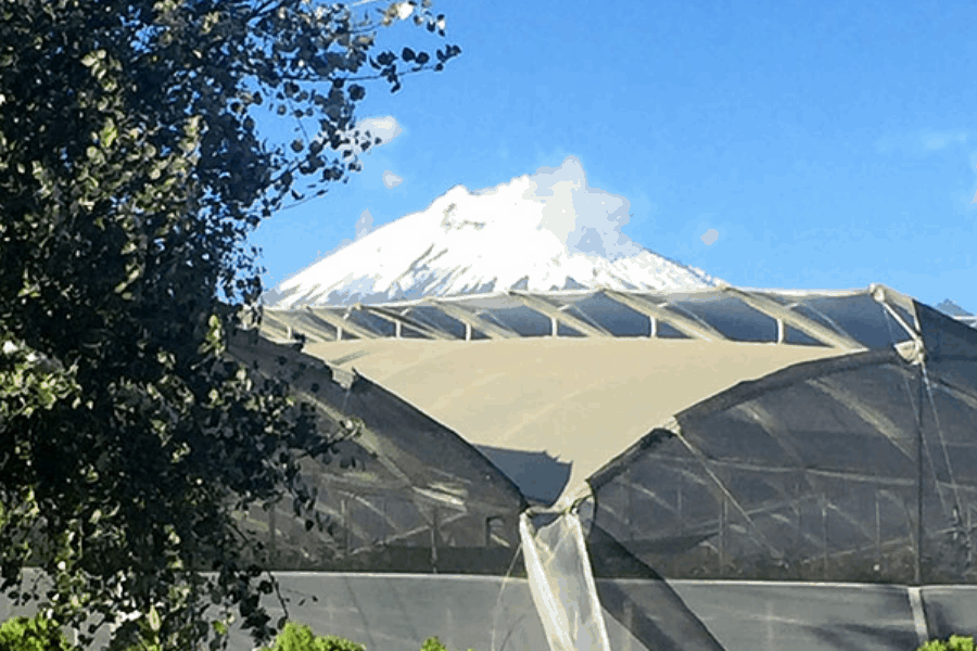 ECUADOR