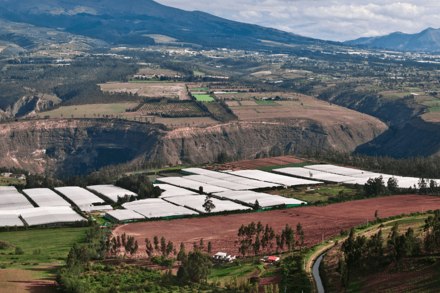 ECUADOR